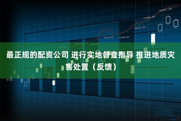 最正规的配资公司 进行实地督查指导 推进地质灾害处置（反馈）