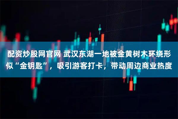 配资炒股网官网 武汉东湖一地被金黄树木环绕形似“金钥匙”，吸引游客打卡，带动周边商业热度